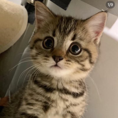 babyxiaoxian1's profile picture. 无门槛福利群https://t.co/QmcTXTPqgo 进门槛群发128口令红包