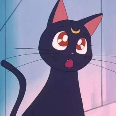 megoomy09's profile picture. 🤍