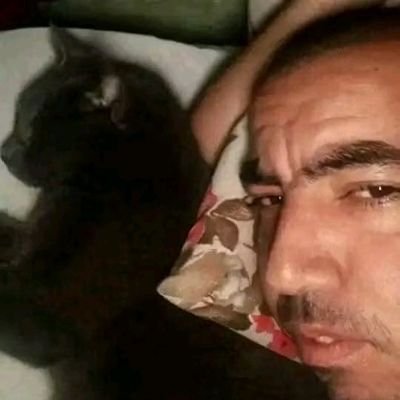 Tocadosgatos_'s profile picture. Conta reserva @Tcats1988 - precisamos da sua ajuda com RAÇÃO para 🐈 e MANTIMENTOS se não tiver fazendo falta 🙌 DOAÇÕES PELO PIX CELULAR 11946270306