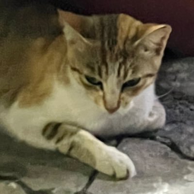 ptrk_un's profile picture. He Creates!