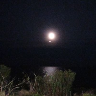 IamAnnifel's profile picture. Esto Soy Yo, ni mas ni menos,
Un dia alegre, un dia triste, 
Un dia peleando batallas otro llorando pérdidas,
Un dia paz otro guerra.