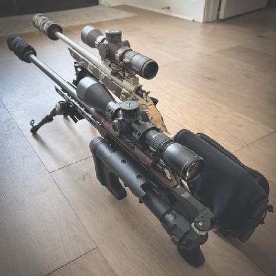 WiseEyedEagle's profile picture. Gen Z Political Animal🦅|💍👶🏻|Bill of Rights Enthusiast🇺🇸| Capitalist💰| BPhil📚| Theistic Post-positivist⚛️| HalfBlood Mischlinge| Schlamme🩸