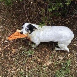 zipox_'s profile picture. 