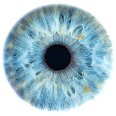 prophecyrapture's profile picture. 