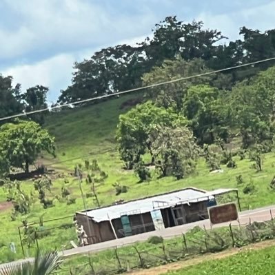 Karamo1442333's profile picture. 