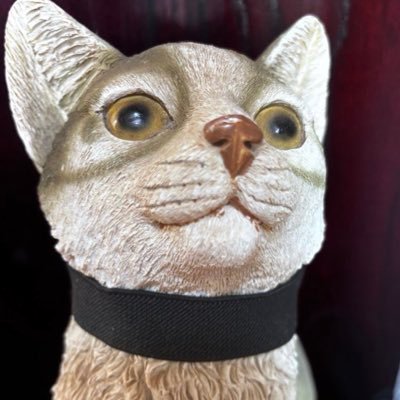 怠惰は良い。新利府アコスタ参加