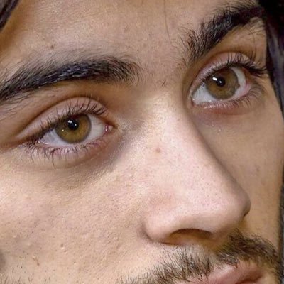 zaynsbtfuleyes's profile picture. I’ve seen 3/5 of one direction and the pilots :) | she/her | Rest in Peace Liam Payne🕊️