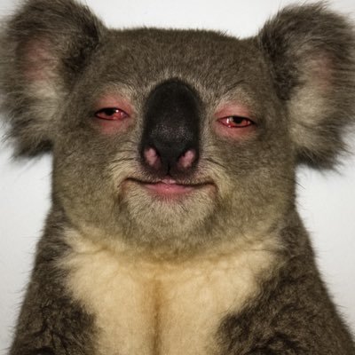 Nathan007419's profile picture. 