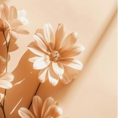 Aurelia21801's profile picture. 