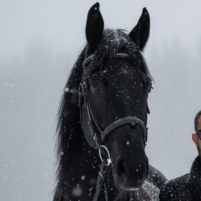 bany_ly17695's profile picture. 