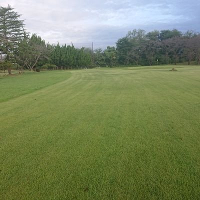 nagatak3341752's profile picture. お酒とプロレスと卓球と祭が大好きです