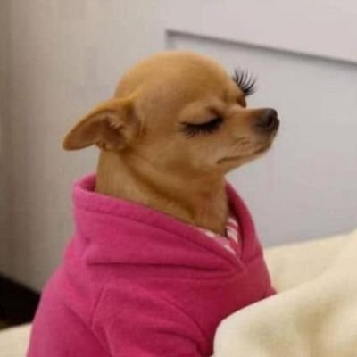 _m_nova's profile picture. 