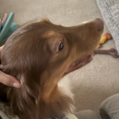 umigoons's profile picture. 15 / archive , only liking posts now 🇲🇽