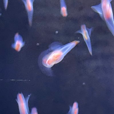 ln7et's profile picture. 