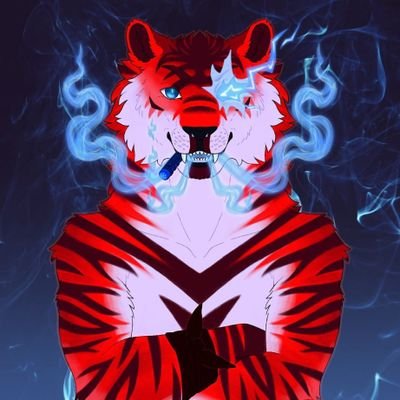 sofia1184063801's profile picture. 