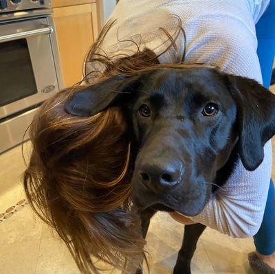 knottyannie1's profile picture. Knotty girl with alot of clips and taboo stuffs 😛😛😛😛
https://t.co/9gcKhir9rj