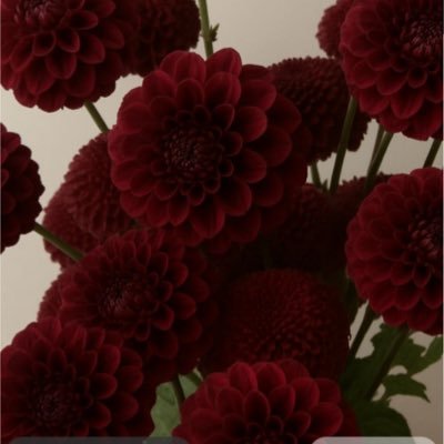 nantesm27's profile picture. Ed è stata tutta vita🌙