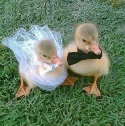 chawala98's profile picture. 🇩🇿
📍barigou gang
bac+6 procrastination