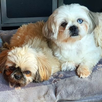 AlexandraG86972's profile picture. L'essentiel est invisible pour les yeux