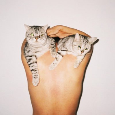 heygio000's profile picture. #gs #ddropteam #notgnahpen