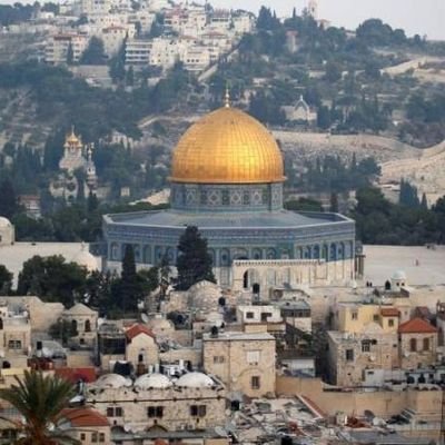 keremyildiq's profile picture. 