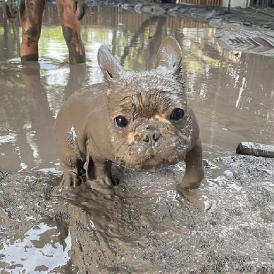 el_ner1997's profile picture. PBJ • FayeYoko • Blanket • I ship responsibly • Faye Malisorn • Yoko Apasra • Malisorn • Apasra • 🇵🇭 • 03/24 • Fairy Babe x Yobie • BabeBie • #ฝ้ายโยโกะ