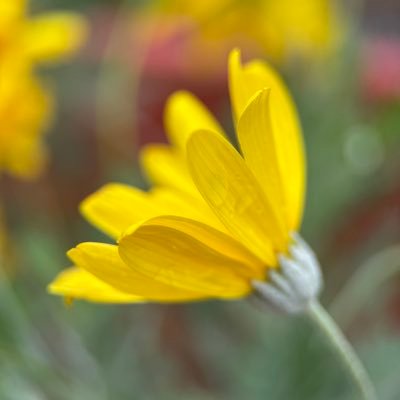 Nov_0718's profile picture. 구독계