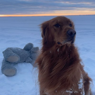 kolton_sabel's profile picture. 