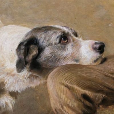 Vrio484's profile picture. 