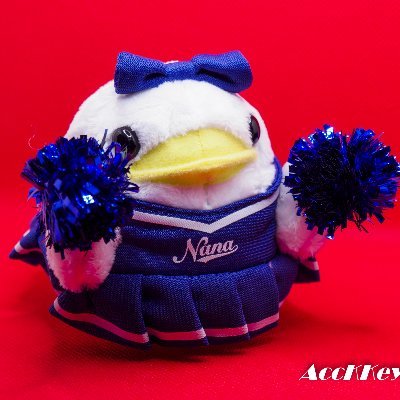 AccKKey's profile picture. 雑多垢なり：アラ奈々世代なんですが 色々なライブに参戦しています 推しは水樹奈々さん、ａｉｋｏさん、ＴＵＬＩＰ、茅原実里さん、安室奈美恵さん ※＆※ へたっぴ写真撮影📸：コスプレ関連 茉夏ちゃん、鹿乃ばんびちゃん、七海あくあさん、他かわいい娘 🙆‍♀️ 😟制限の為フォロバ空席待ち　※画像・写真の無断使用禁止