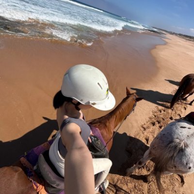 aqjwd98245694's profile picture. Engaging in X means stepping into a world of shared wisdom, where we challenge ideas, explore possibilities, and appreciate the depth of human insight.