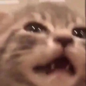 VictoCapistrano's profile picture. 🌎🌍🌏