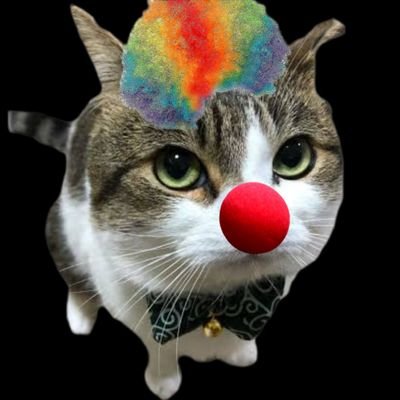 PayasodelPWIPX's profile picture. 