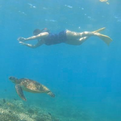 eunikemhy's profile picture. batteries material scientist 🔋 Bandung 🇮🇩 ➡️Seoul 🇰🇷 ➡️Paris 🇫🇷 random stuff of my daily life