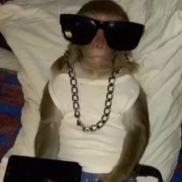 TheresaC4981's profile picture. 