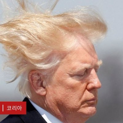 Will1mperial's profile picture. 8647. I won't read your responses. Die mad about it.