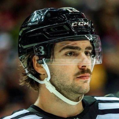 bejuwe13d's profile picture. most random girl you’ll ever see. nico hischier fan page