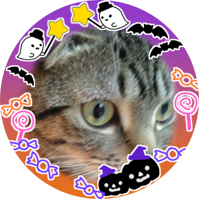 privatemoon's profile picture. かつてルーンミッドガッツに住んでいた。お仕事はIT系。リプライ/フォローは返したり返さなかったり気まぐれです。惑わされるな。