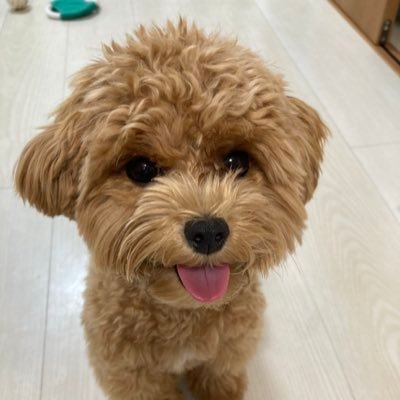fukui_seitai's profile picture.
