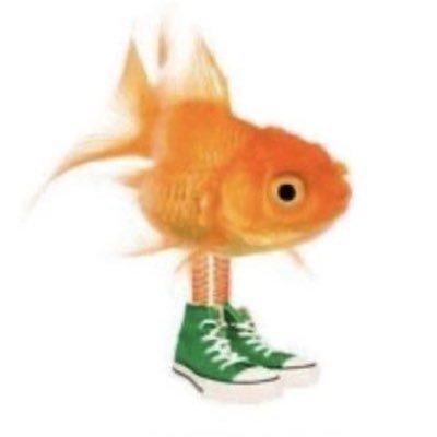 femoss13's profile picture. tedio