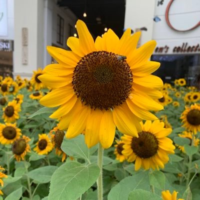 marriamia's profile picture. inhale exhale.