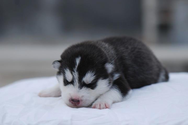 JosephRami21337's profile picture. "Optimism and ki💎n🌟dness every day! 💙👍❤️