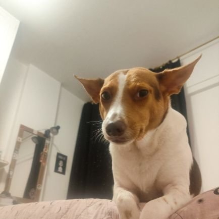 irissemacento's profile picture. Pegam seus otimismos  e sumam d perto de mim. Hoje eu tô em crise. 

ela/dela