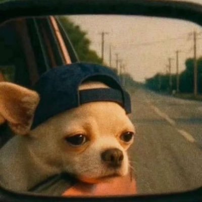 Topgleam's profile picture. Life is a test : Give it all your best❤️💡|MUSIC||ART||MEMES||TECH||NATURE