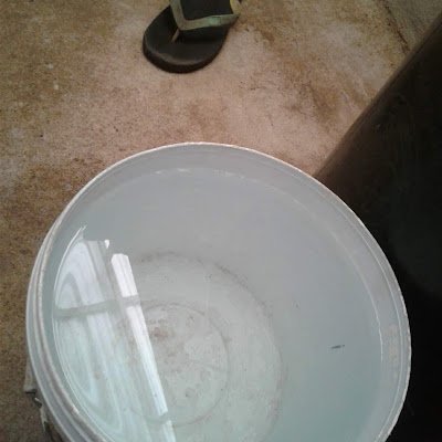 thcharenchaitj's profile picture. 