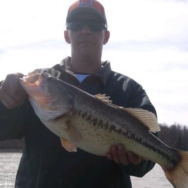 raininbass's profile picture. 