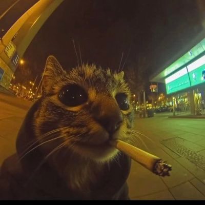 comrade_negus's profile picture. 🇨🇦 The government hates you. Have you noticed yet? - 𝘴𝘤𝘳𝘰𝘭𝘭 𝘵𝘰 𝘵𝘩𝘦 𝘣𝘰𝘵𝘵𝘰𝘮