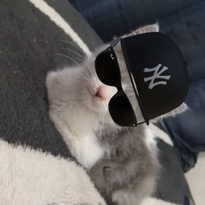Iker1574669's profile picture.