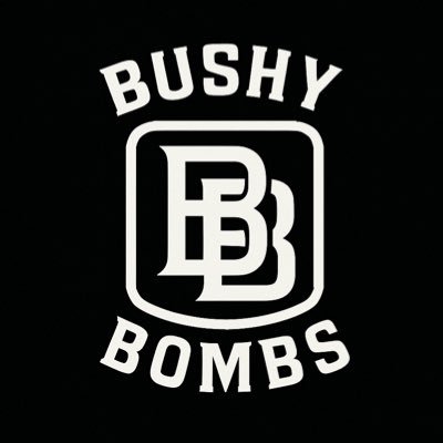 bushybombs's profile picture. There is no way to hit. Take what you can from here and other sources to build your own self as a hitter. || Extension of “@bushybombs” Instagram & YouTube Page