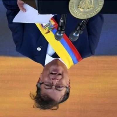 astridzugi's profile picture. 